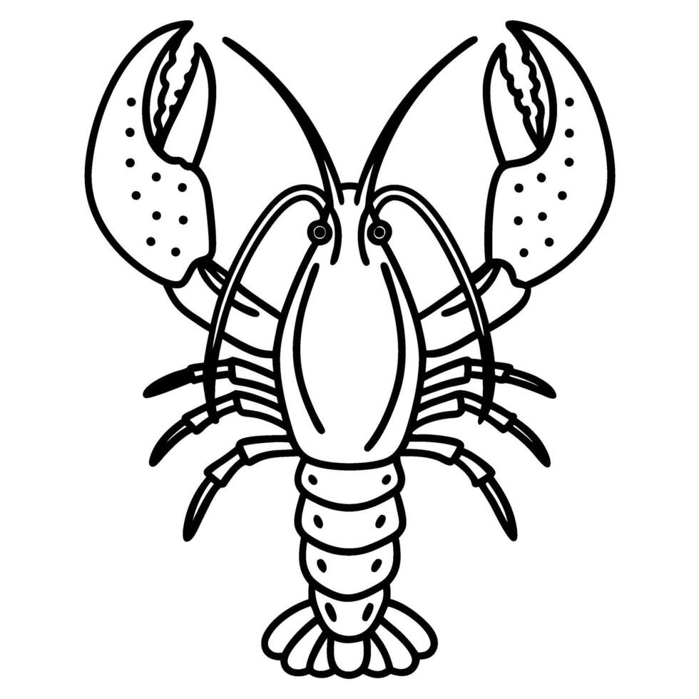 Outlined lobster illustration simple black and white line drawing of marine crustacean with detailed claws and antennae vector