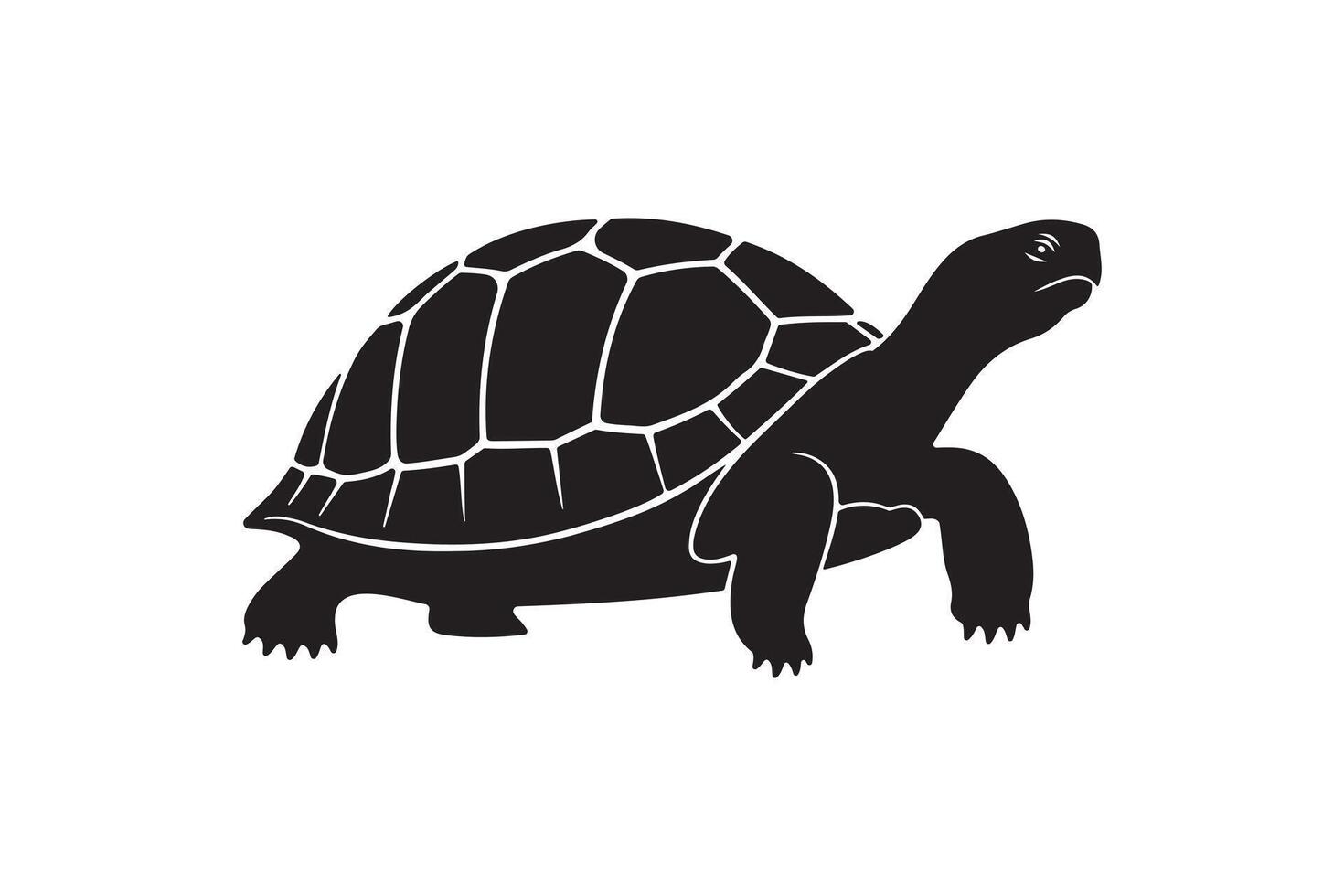 Simple Turtle Animal Silhouette Art Tortoise Silhouette Isolated on White vector