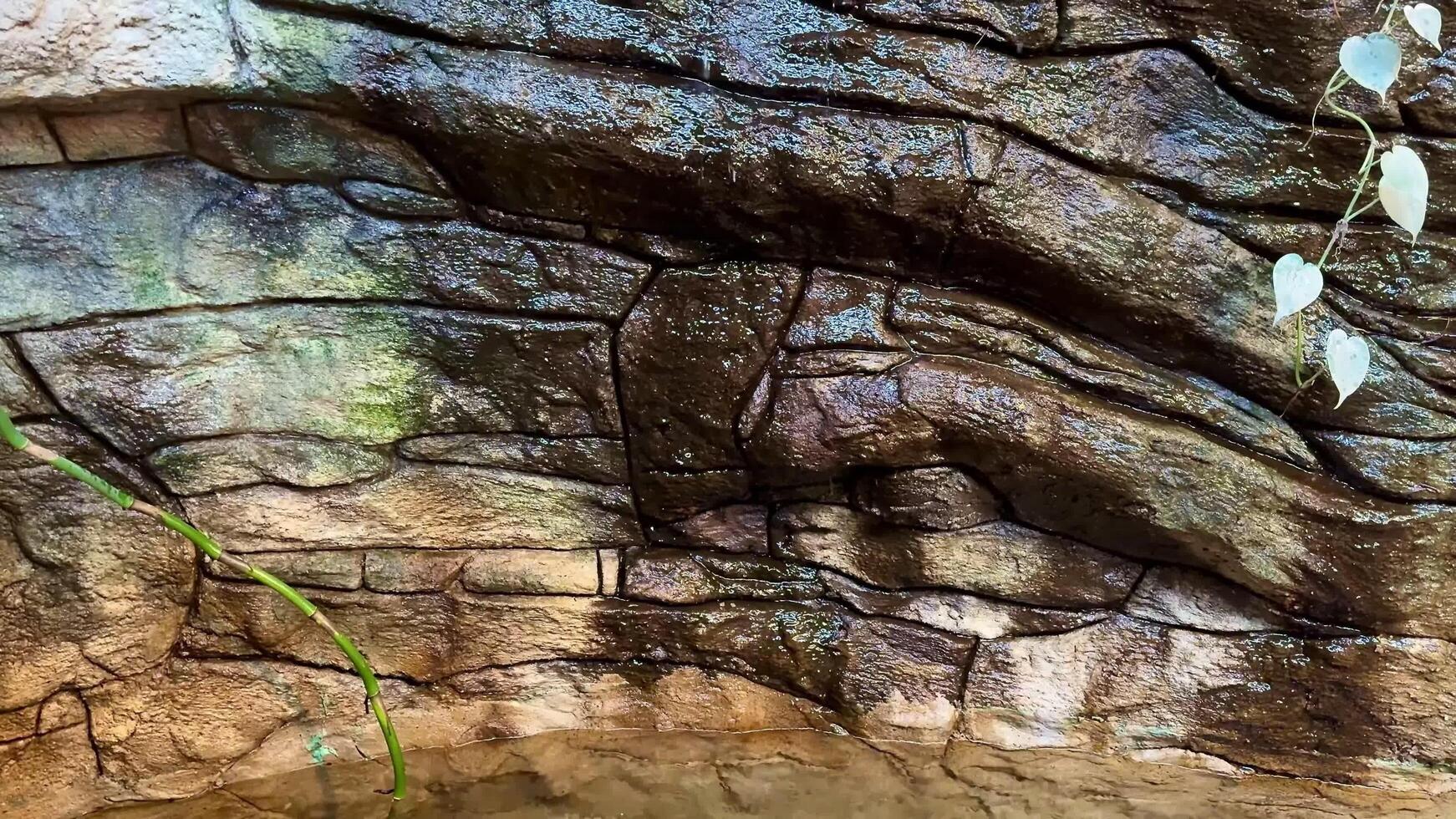 An extreme closeup view of a beautifully textured rock surface displaying subtle colors along with trailing vines photo