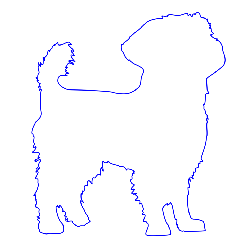 Affenpinscher Dog Outline Silhouette png