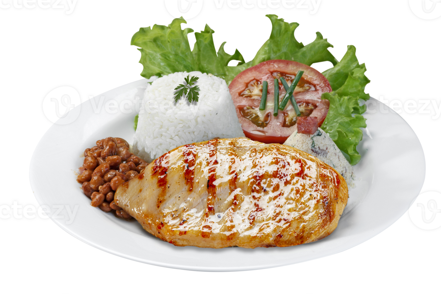 Grilled chicken breast, rice, salad, French fries, letuce png