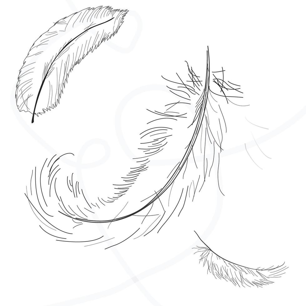Outline feather icons design in minimal style. vector