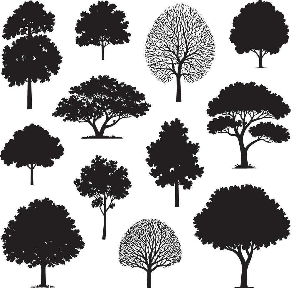 Collection of diverse black tree silhouettes and bare branches on white background vector