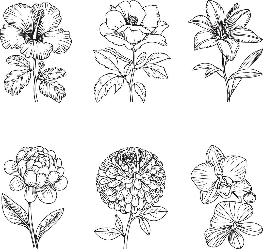 Flowers coloring pages for kids vector