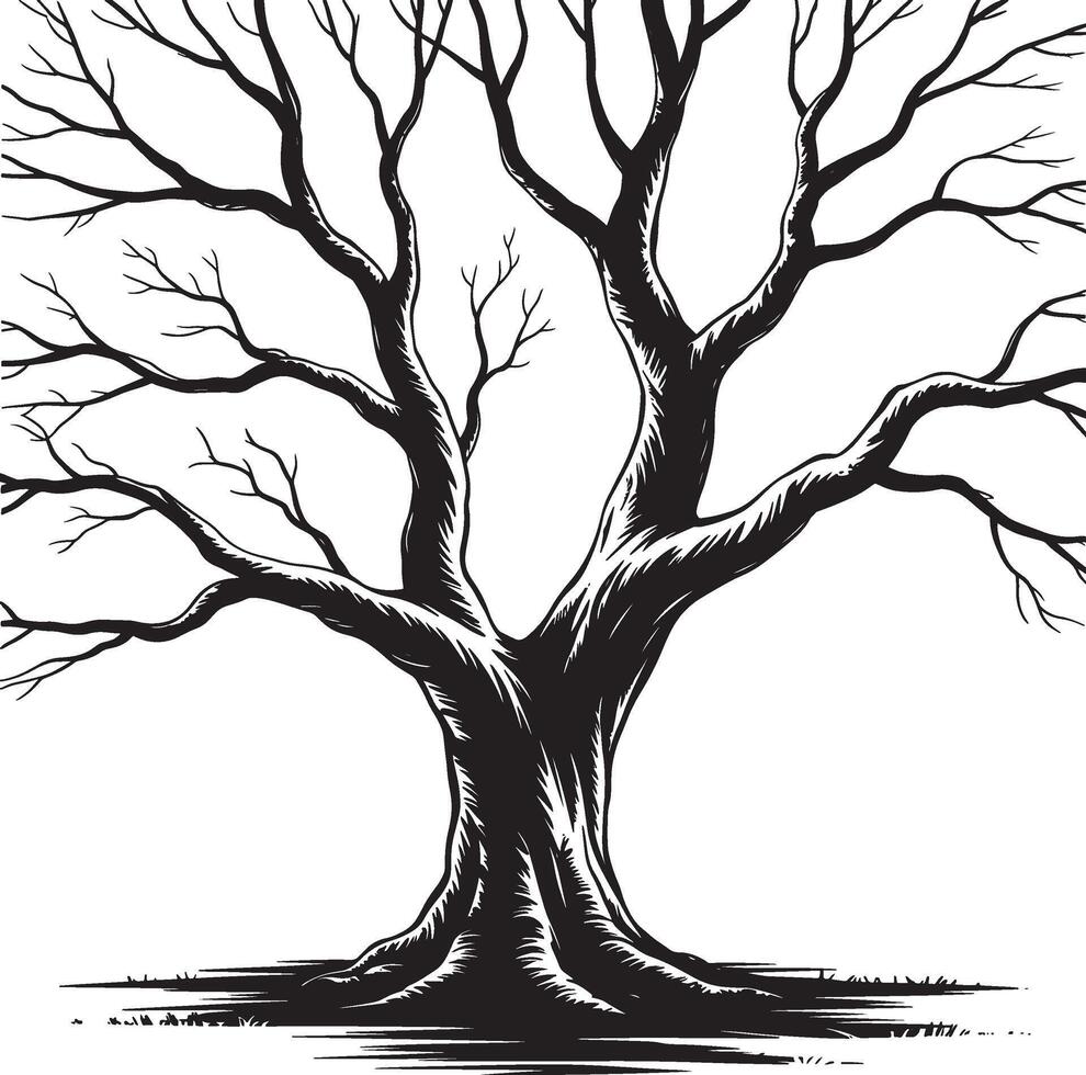 Striking black and white illustration of a large bare tree with intricate branches vector