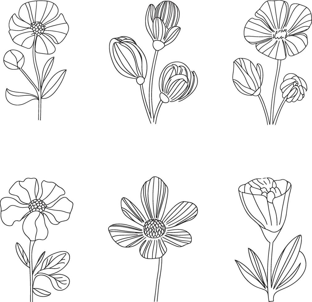 Flowers outline set illustration vector