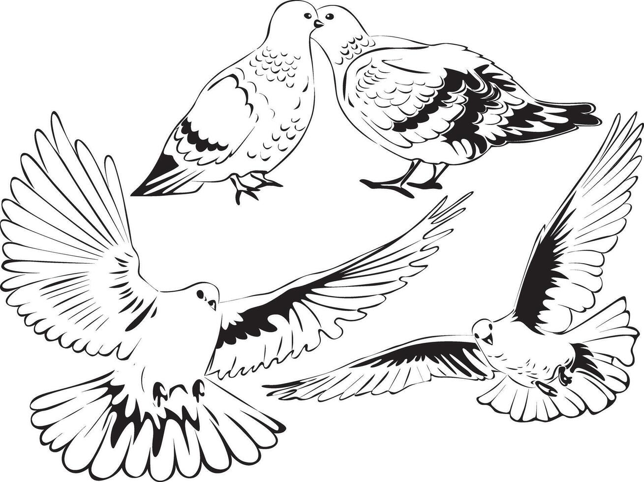 Silhouette of dove bird. Love bird animal cute. vector