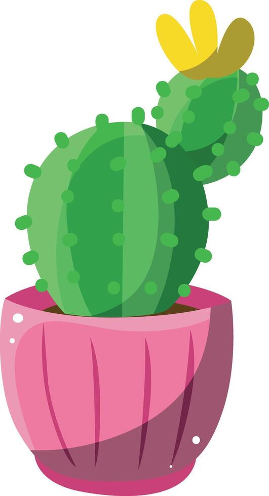 Cactus in the lines pink pot. Colorful cactus in the pot. vector