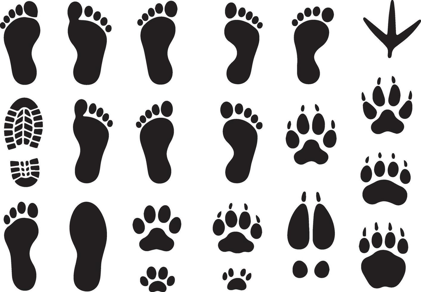 Human animal and bird footprints paw print shoe print vector