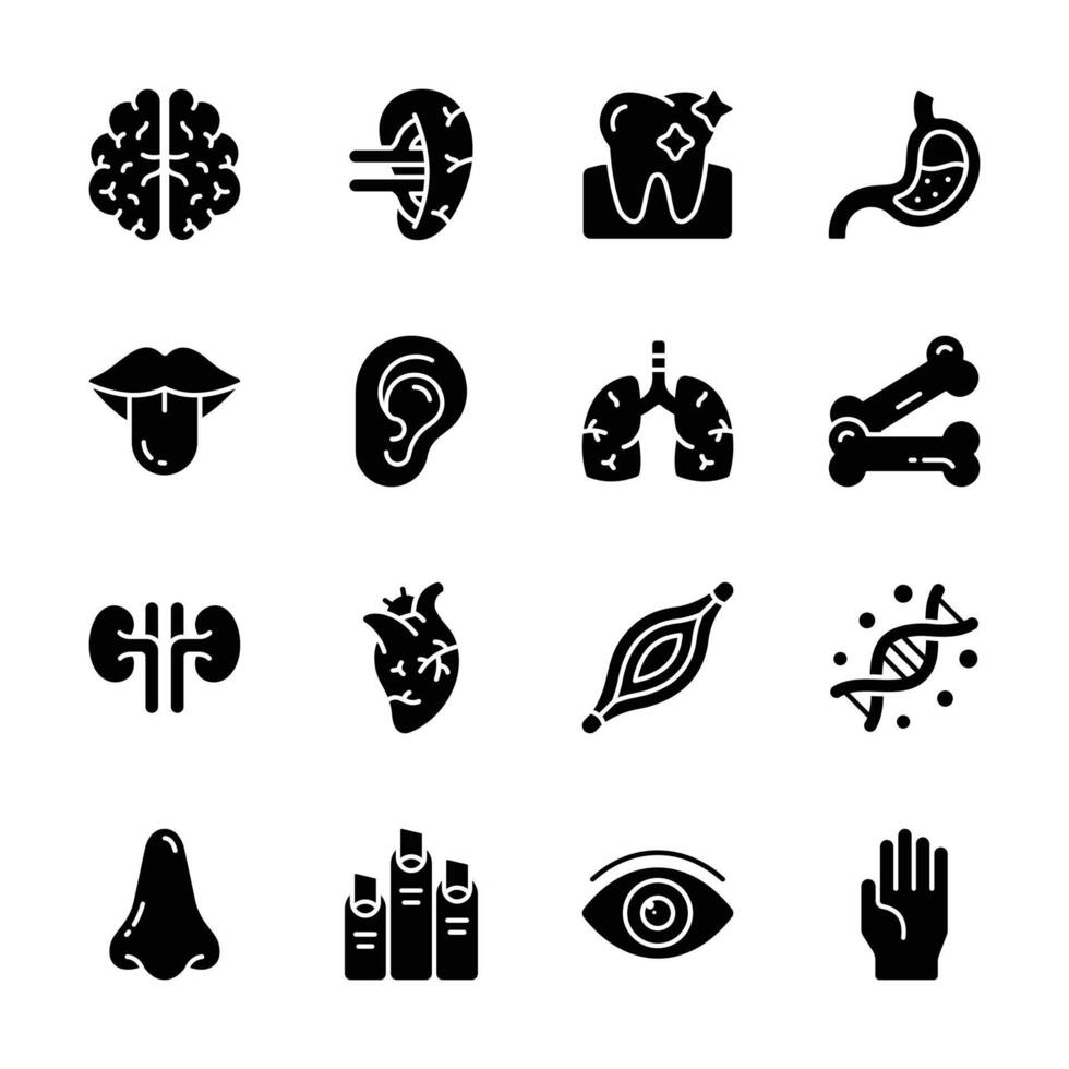 Latest Collection of Human Anatomy Glyph Style Icons vector