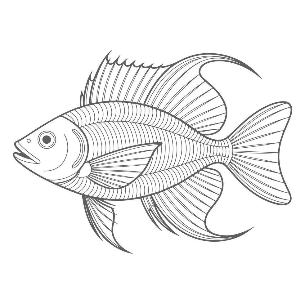 Grey Scale Line Art Fish Drawing Detailed Fins vector