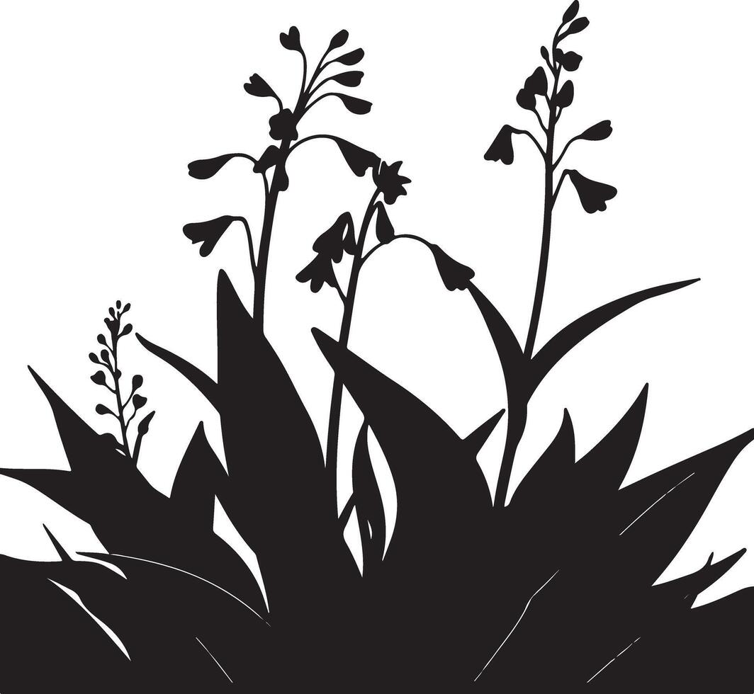 Silhouette of flowers and plants vector