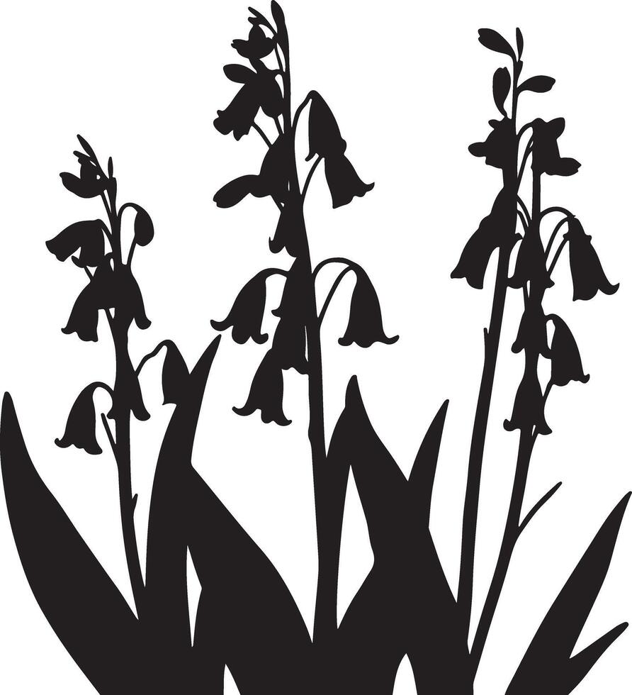 Silhouette of flowers in black and white vector
