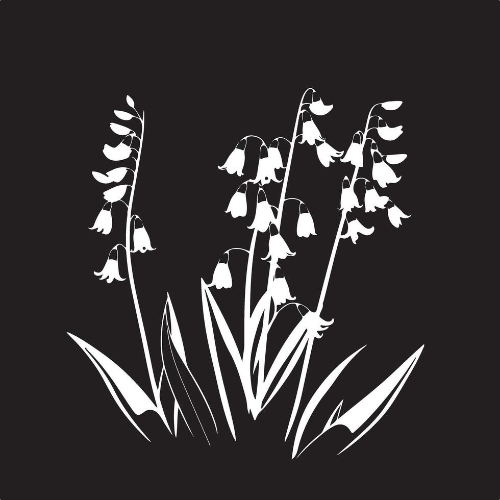 White flowers on a black background vector