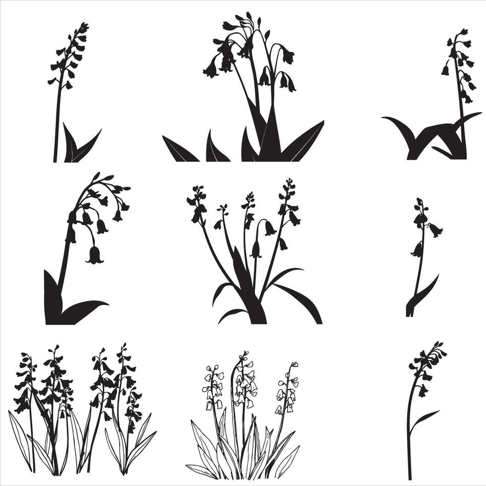 Various black and white flowers and plants vector