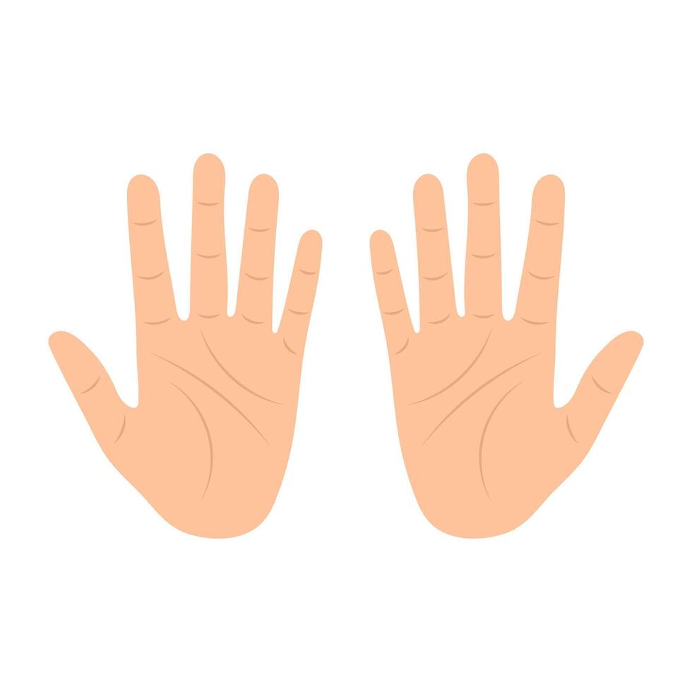 Cartoon Human Hands Palms Up Illustration. Left and right hands with visible palm lines, fingers fully extended and thumbs spread apart. vector