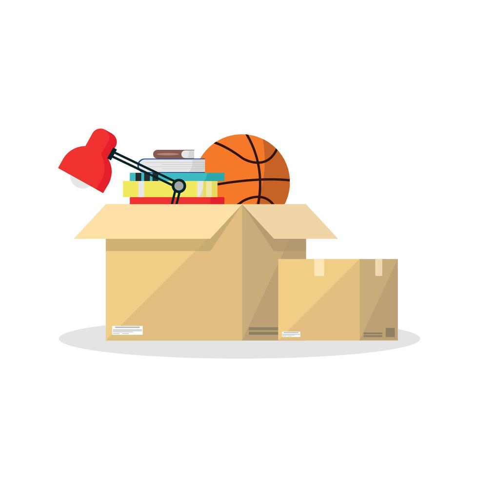 Boxes with books and a basketball vector