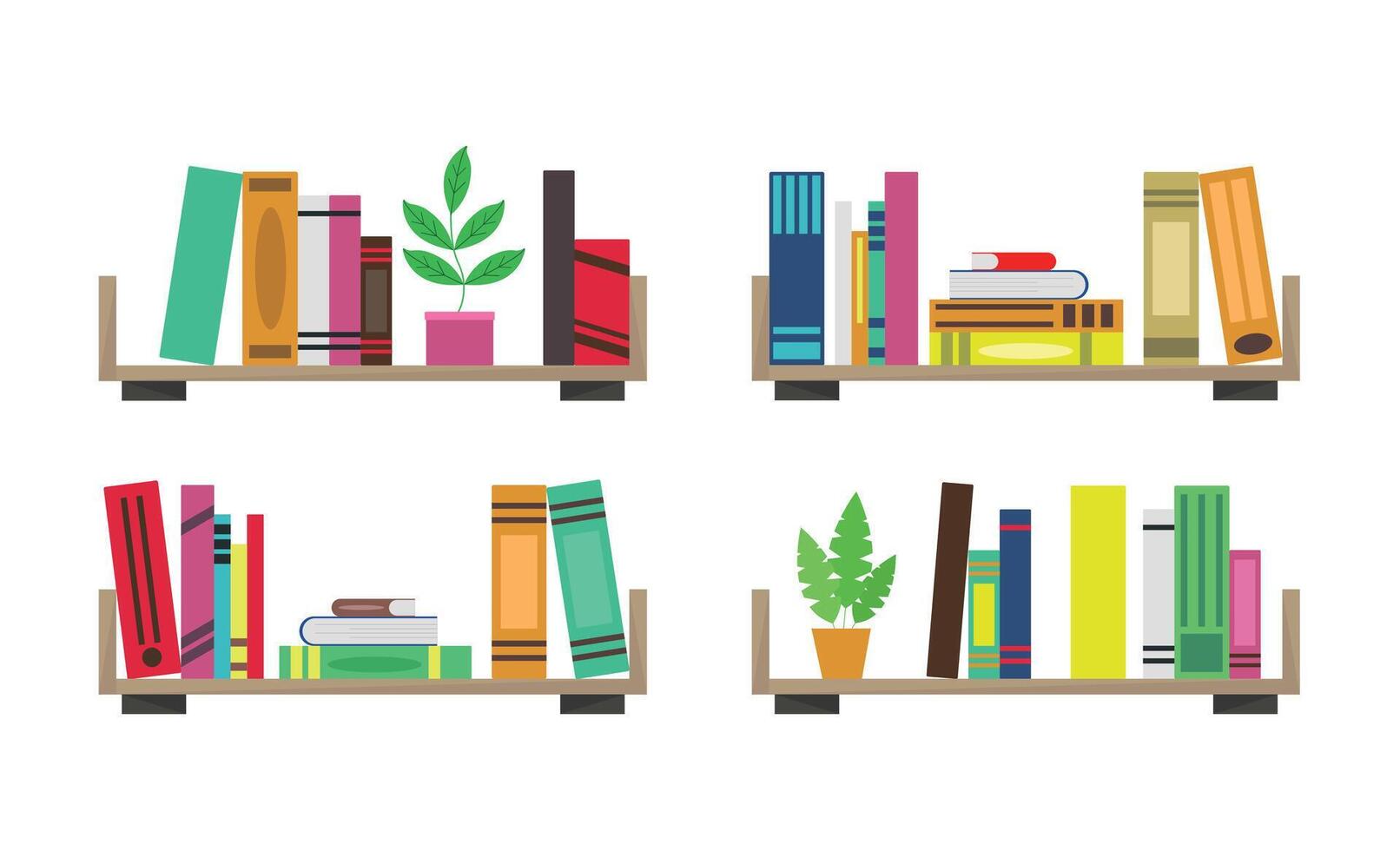 Colorful bookshelves with books and plants vector