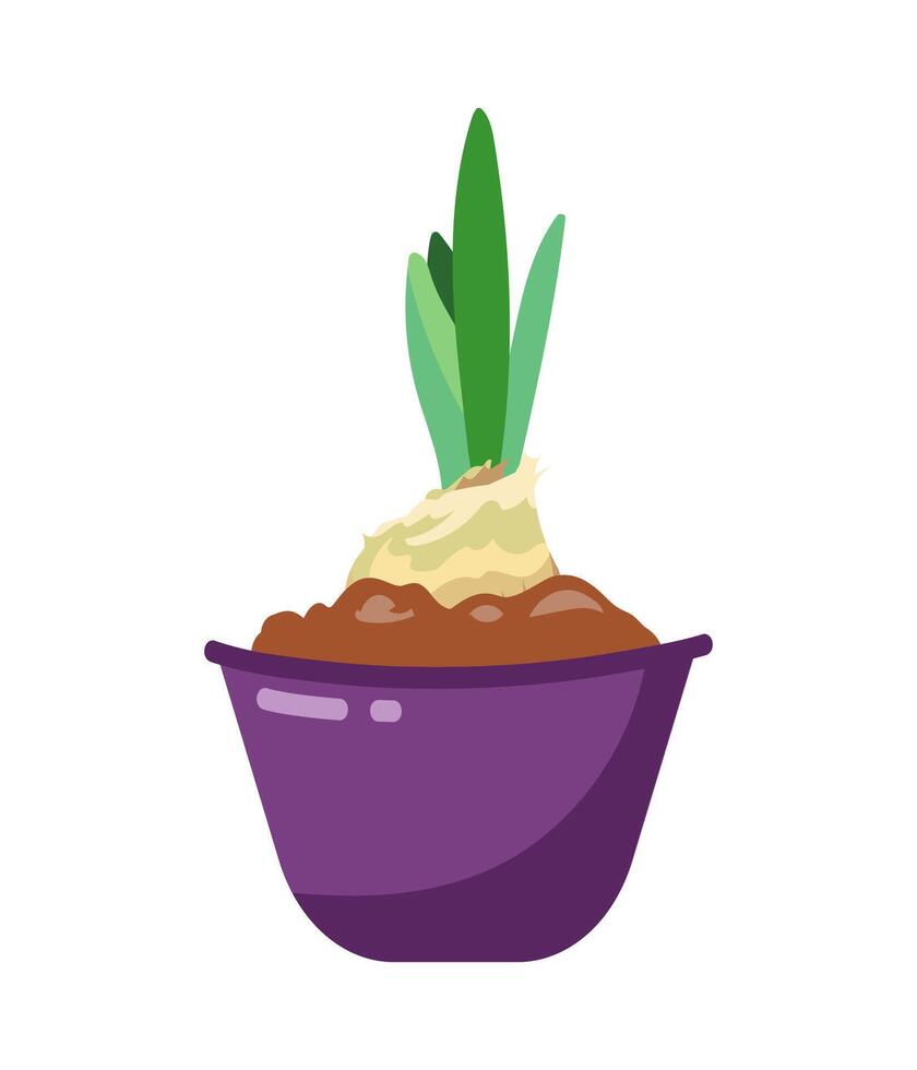 Indoor plant in purple pot vector