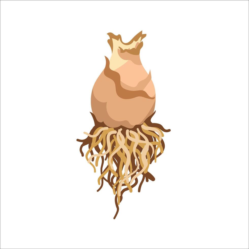 Bulb with roots illustration vector