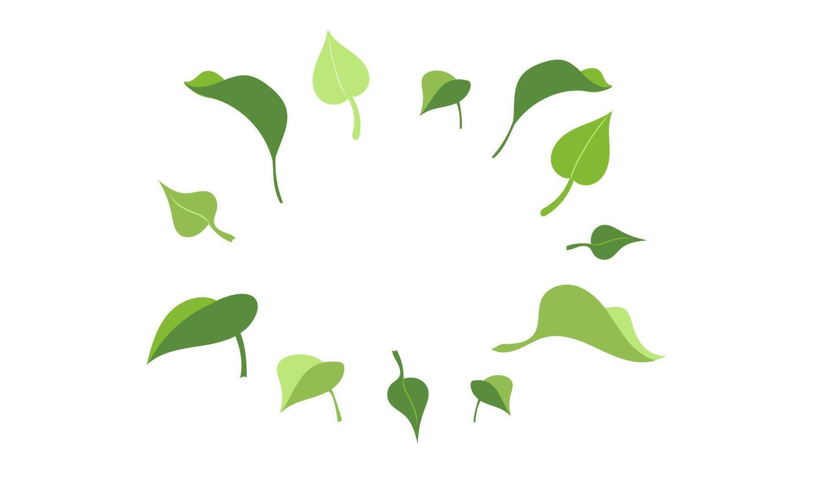 Nature ecology frame mockup from Green foliage, botany elements isolated on white background, hand drawn flat leaves of tea, basil, lemon or lilac bush, leaf template with blank space for text vector