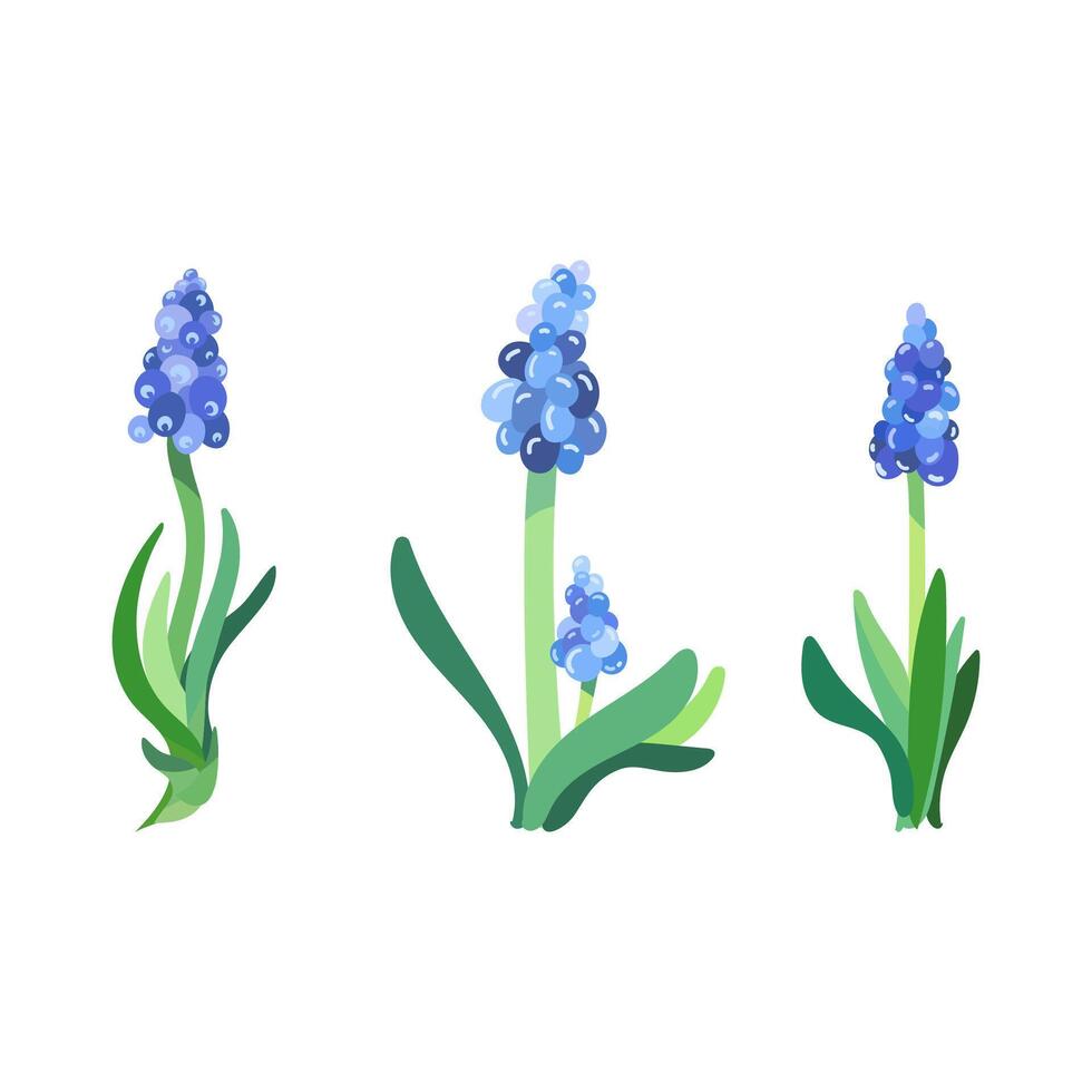Illustration of blue flowers vector