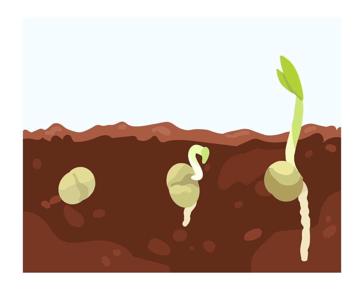Seedlings growing in brown soil vector