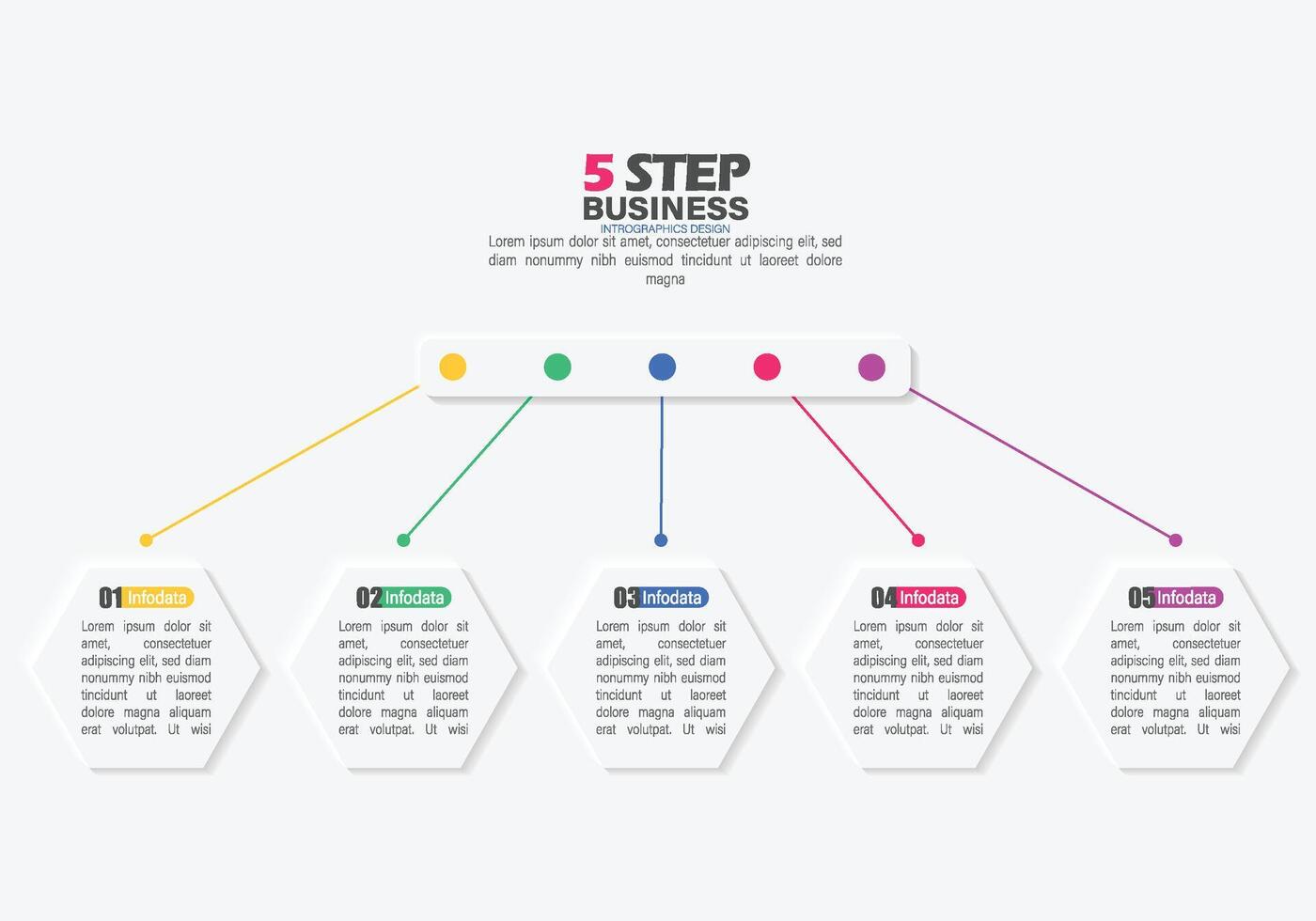 5 Step Business Infographic Data vector
