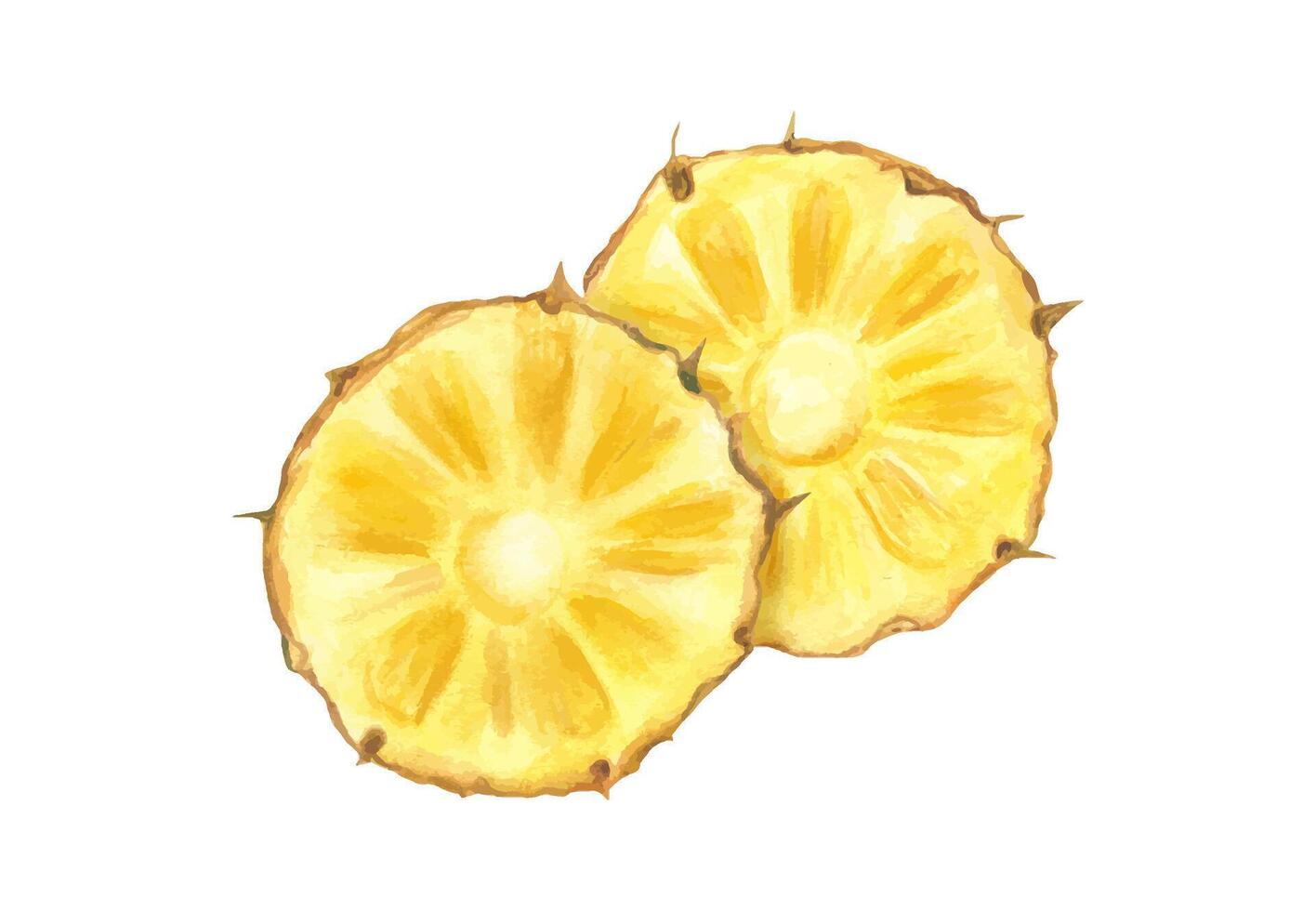 Two ripe round pineapple slices watercolor illustration isolated background. Hand painted tropical cross section fruit composition for food packaging, menu design, healthy lifestyle project vector