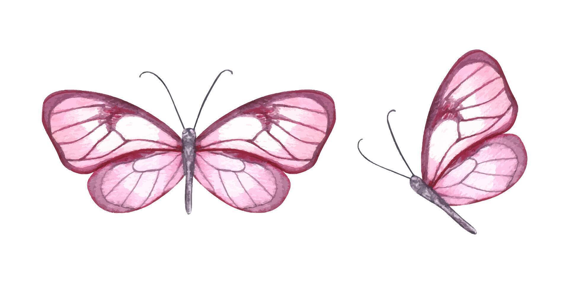 pink watercolor butterflies vector