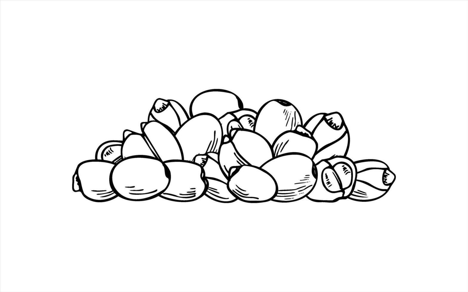 Monochrome lotus seed pile illustration. Etching drawing of protein rich superfood. Bean harvest stack graphic sketch for healthy food packaging, vegan product labels, nutrition blogs. vector