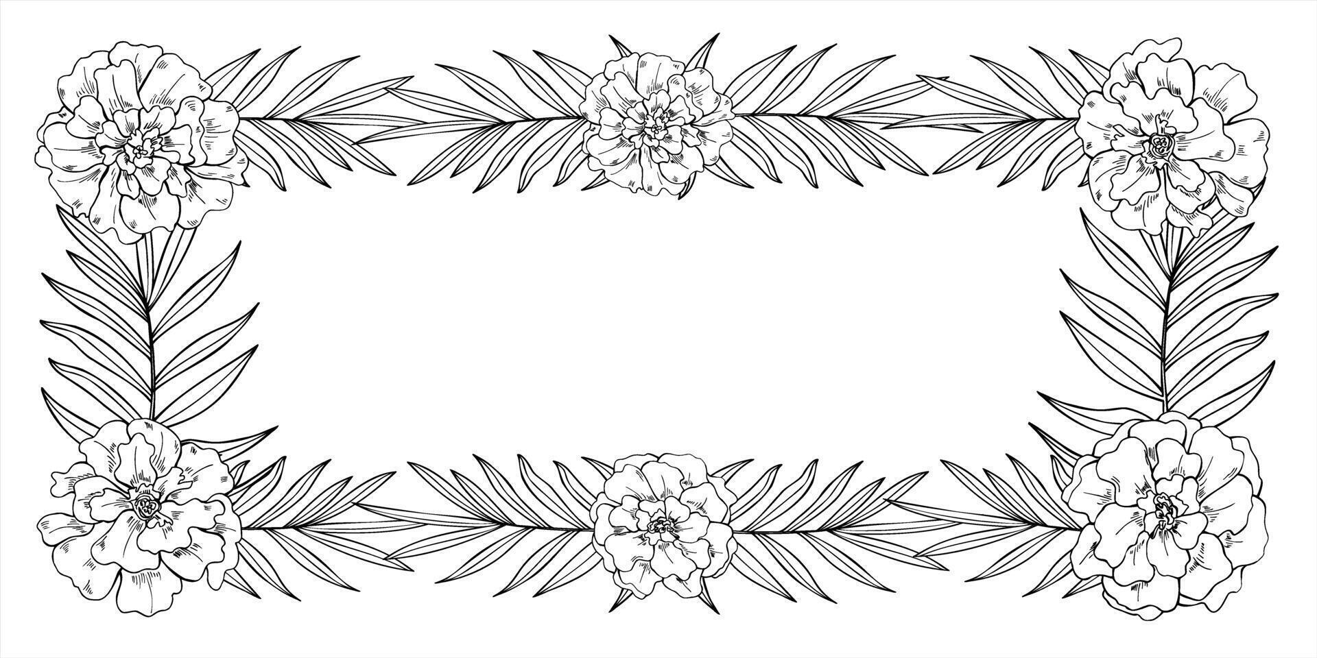 Monochrome frame with marigold flowers and tropical leaves in long rectangular format with copy space for text. Floral template for invitations, certificates, labels, greeting card, packaging vector