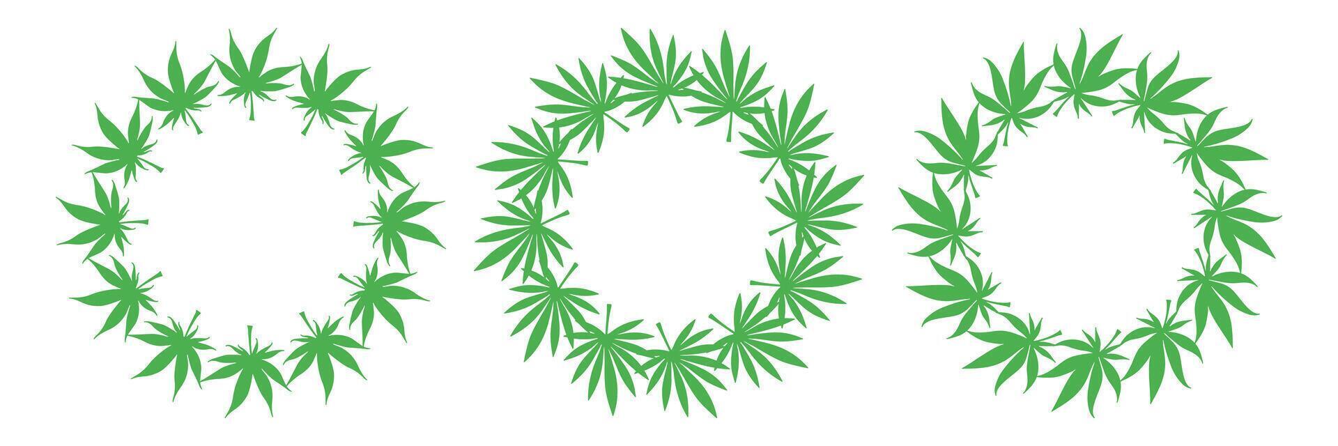 Set of three circular botanical frames made of sharp pointed green leaves. Minimalist eco wreaths for organic design, logo, or packaging. vector