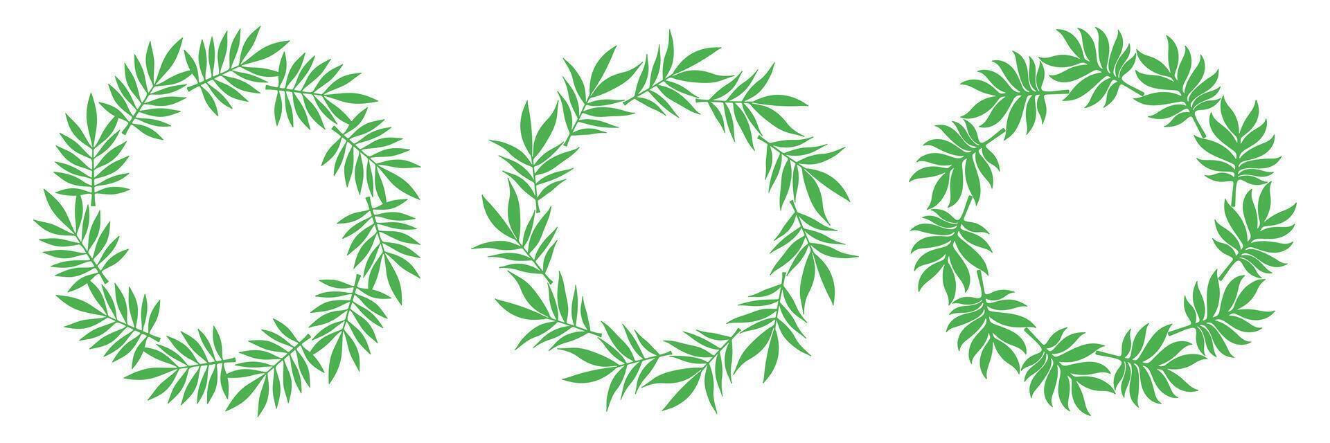 Set of tropical style wreaths made of bamboo and palm leaves. Hand-drawn green frames for summer design, jungle decor, or eco packaging. vector