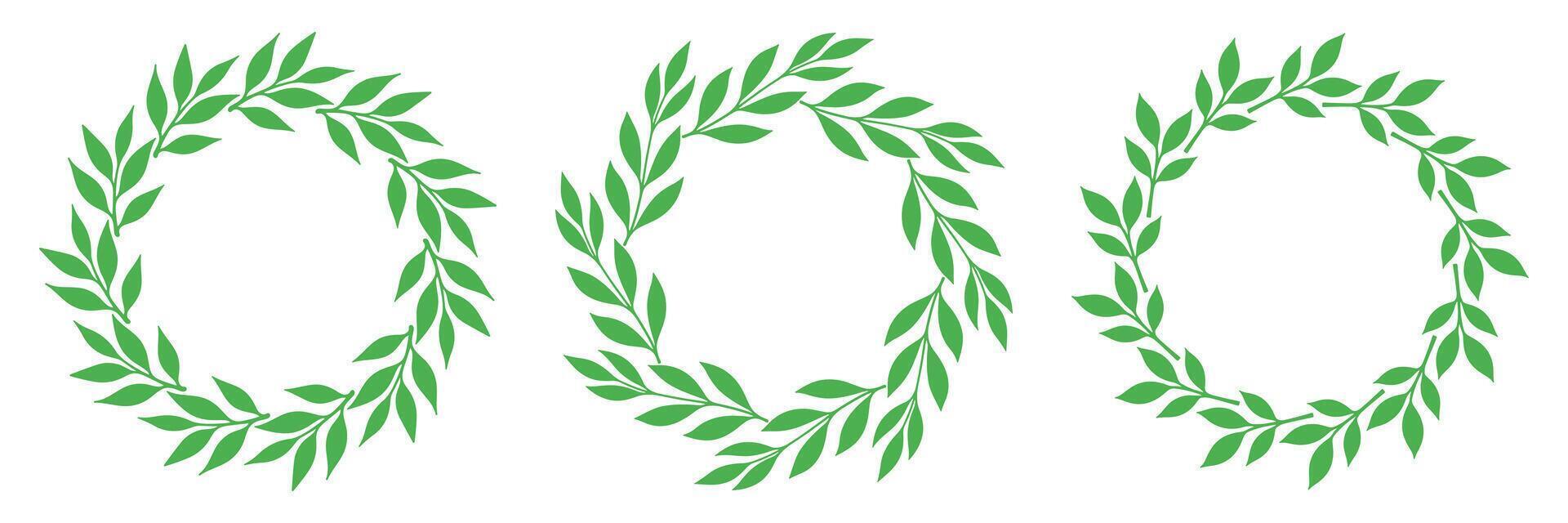 Botanical wreath collection made of oval green leaves. Elegant hand-drawn frames perfect for eco branding, wedding invitations, or organic packaging. vector
