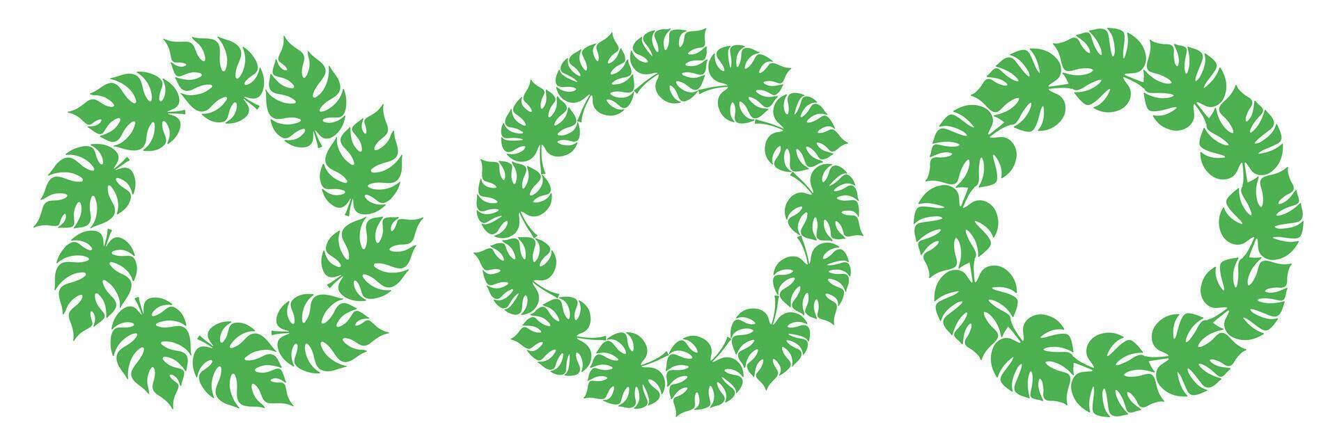 Collection of hand-drawn circular frames made of monstera leaves. Tropical green wreaths for summer projects, branding, or eco design. vector