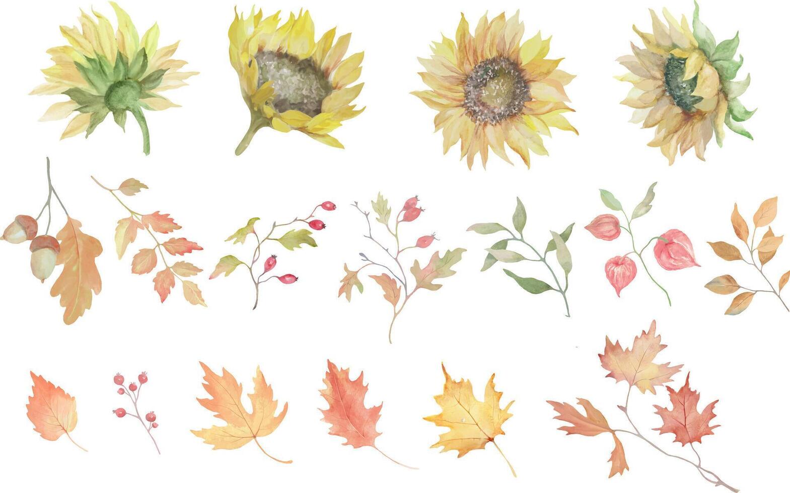 Watercolor sunflowers and autumn leaves vector