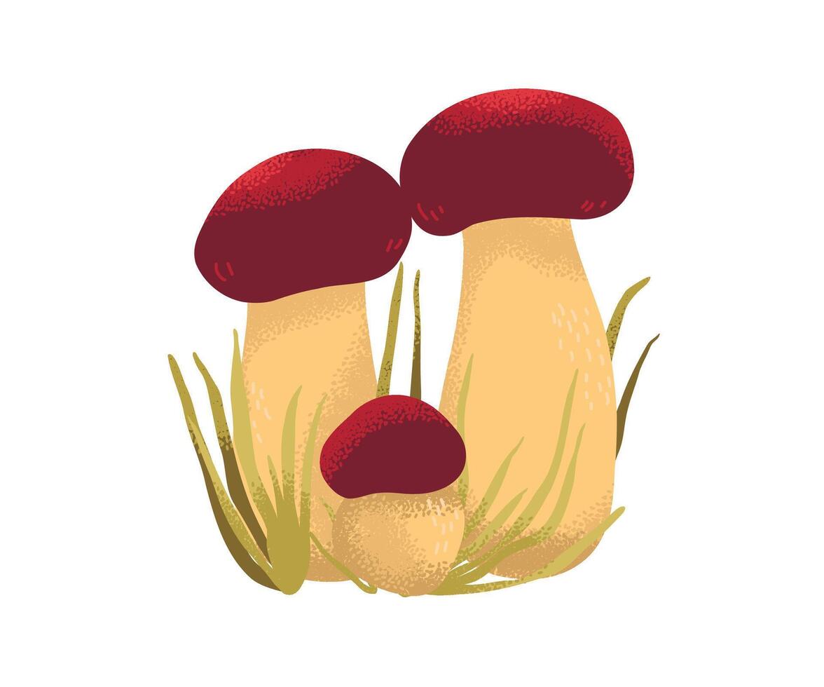 Colorful mushrooms in the grass vector