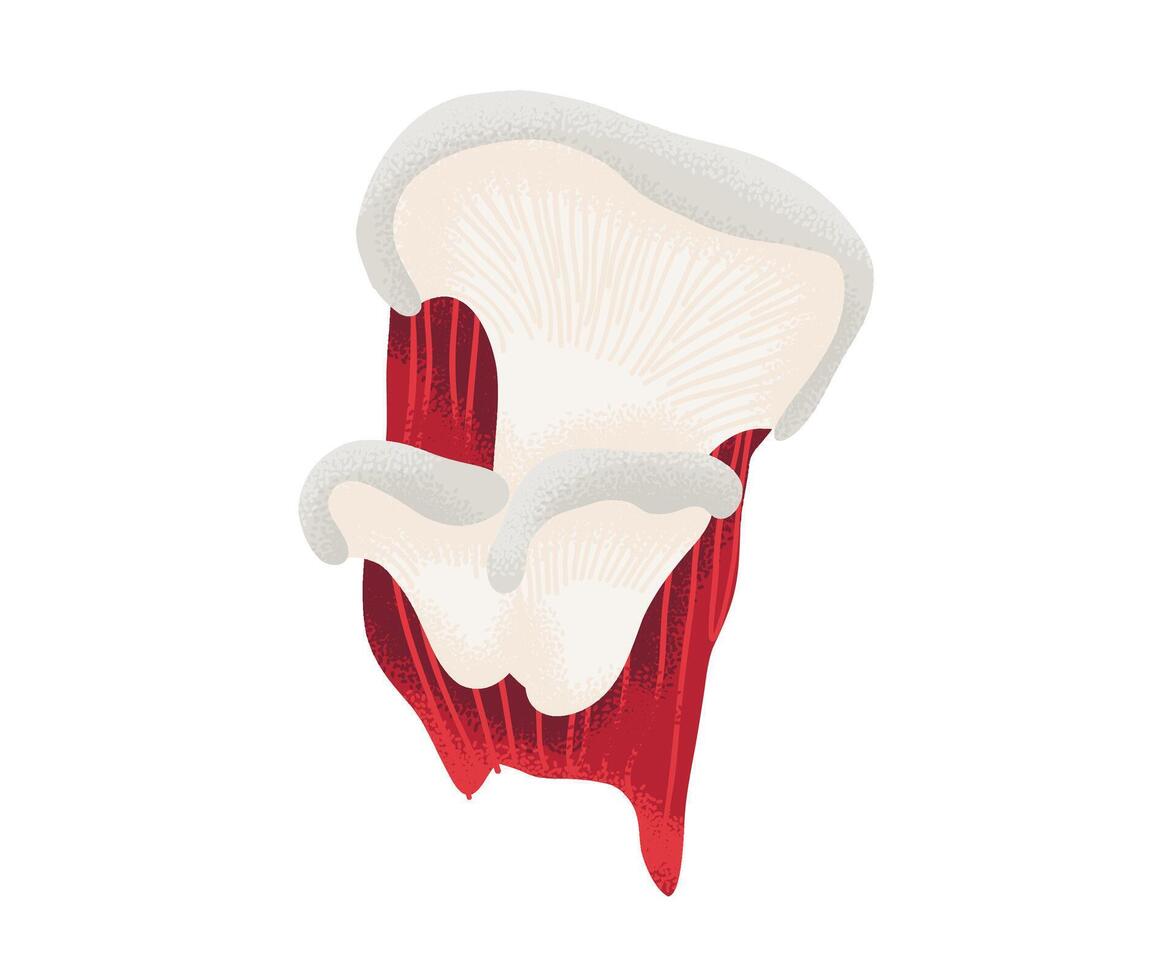 Mushroom illustration with unique texture vector