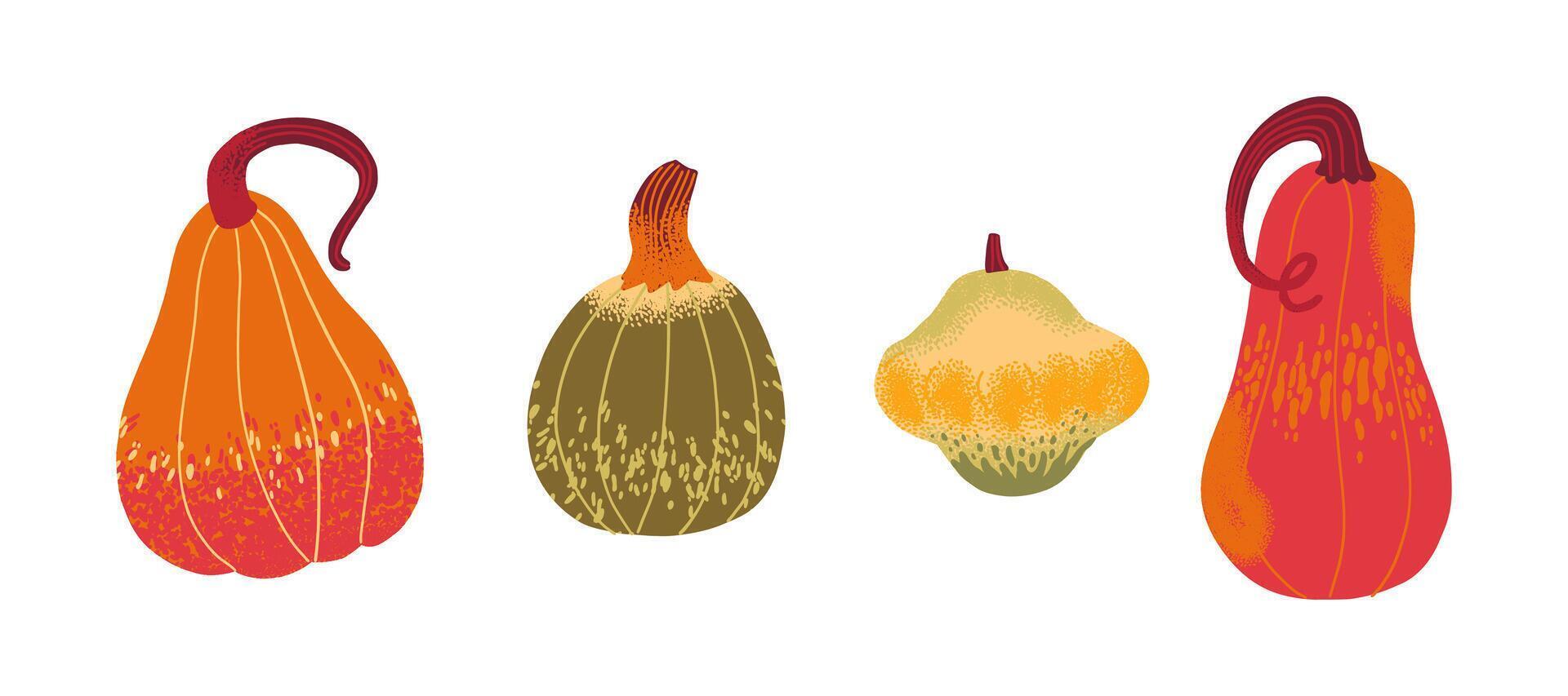 assorted colorful decorative gourds vector