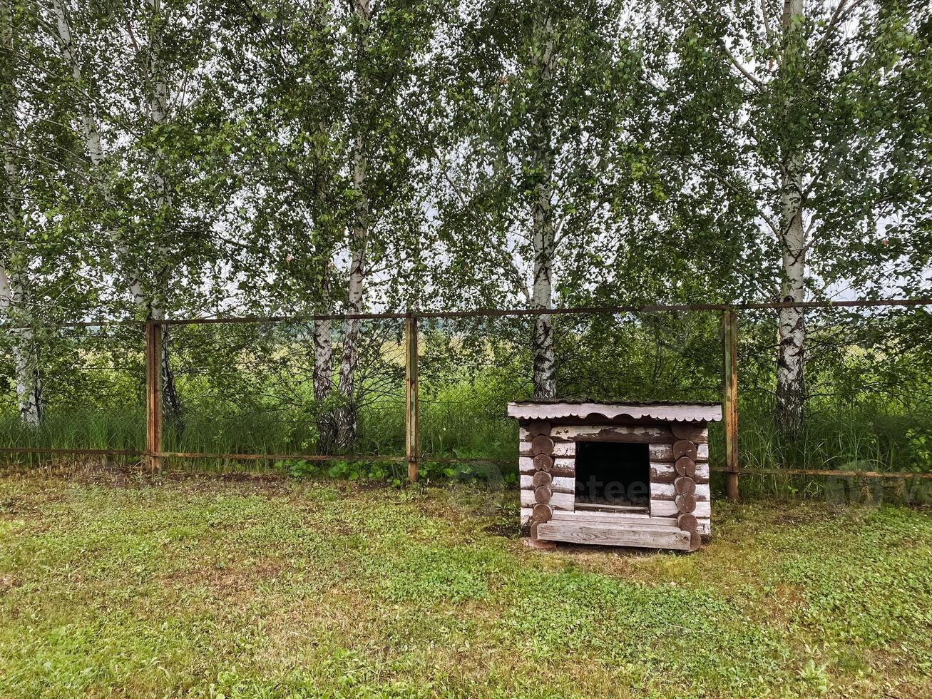 In the center of a lush grassy field, there is a charming small wooden dog house that is nestled comfortably among the greenery, providing a cozy shelter for a beloved pet photo