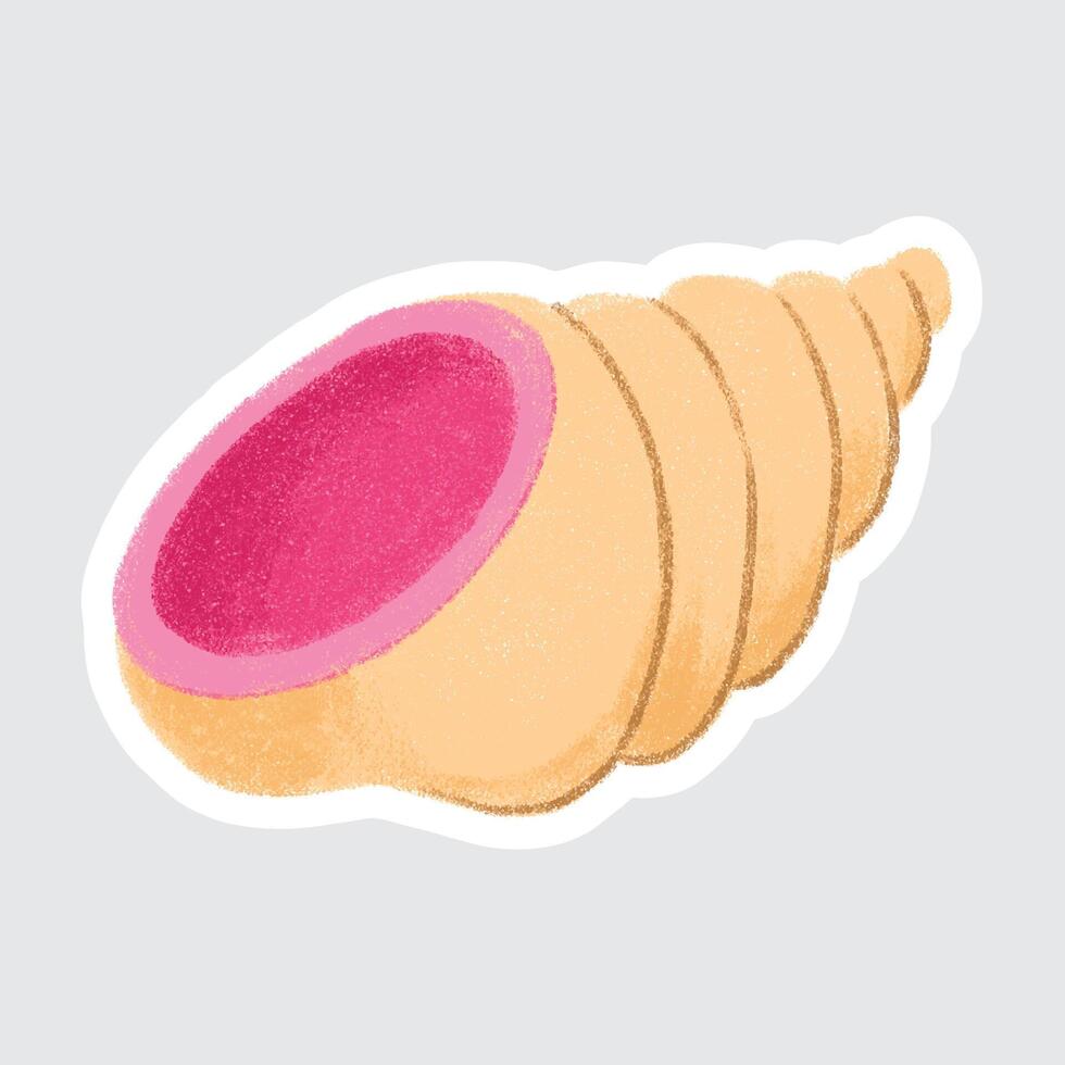 colorful spiral shell illustration vector