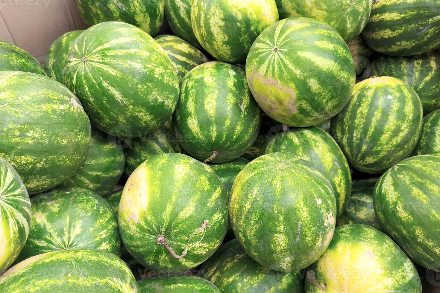 Pile of ripe green striped watermelons for sale at a farmer's market photo