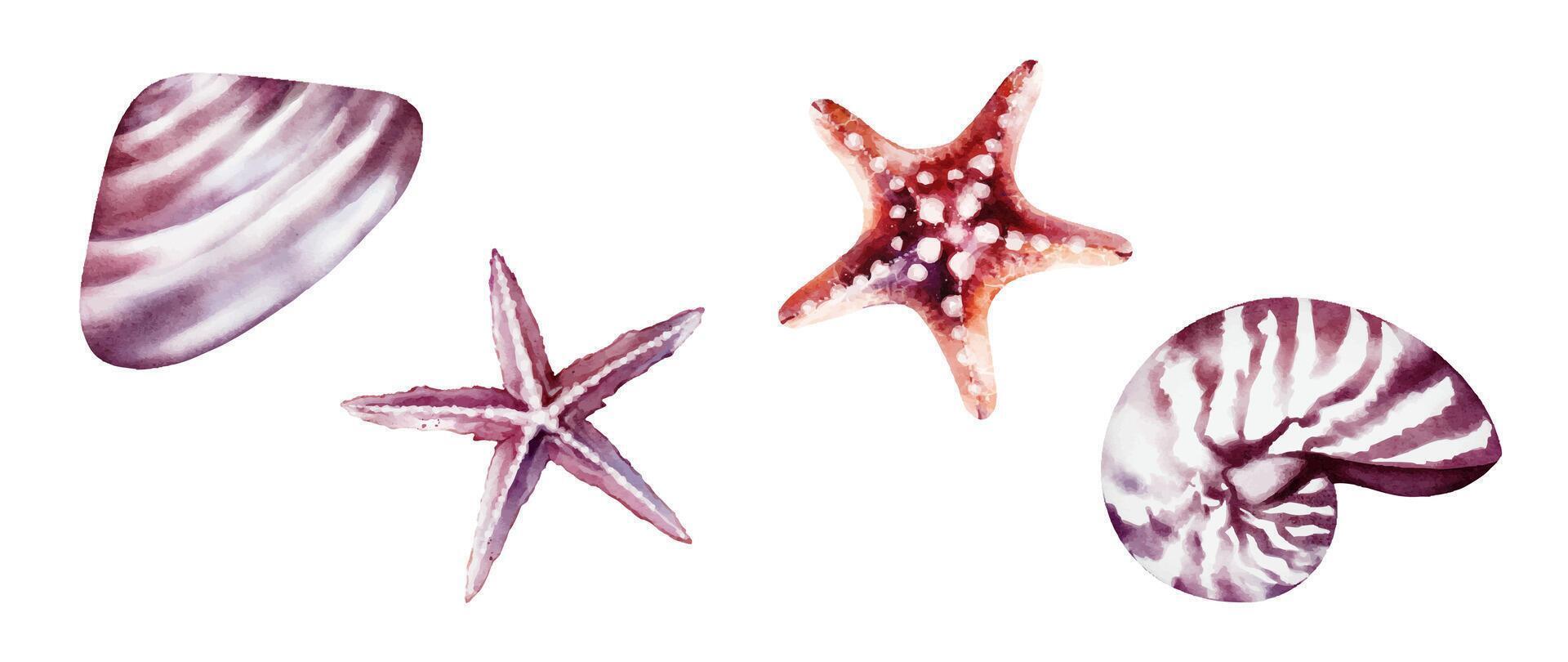 Watercolor seashells and starfish collection vector