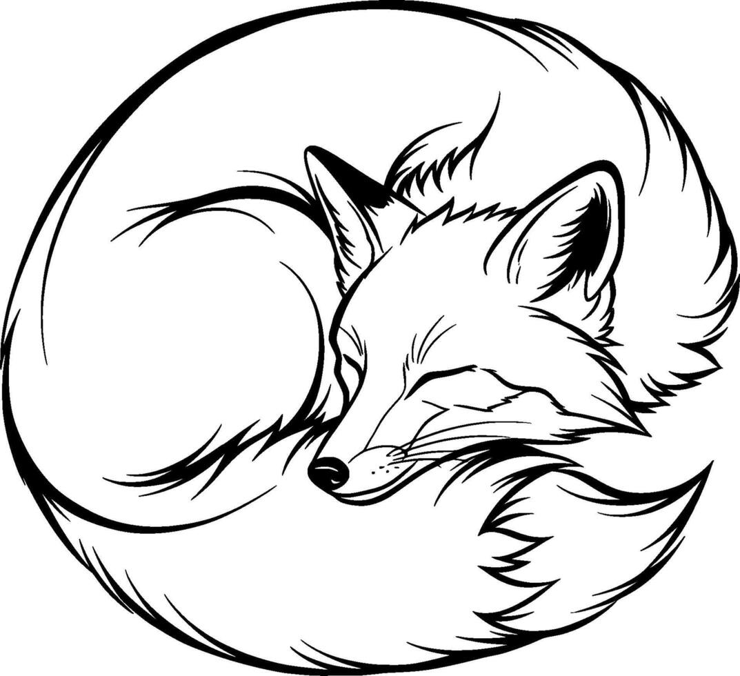A black and white drawing of a fox curled up in a circle vector