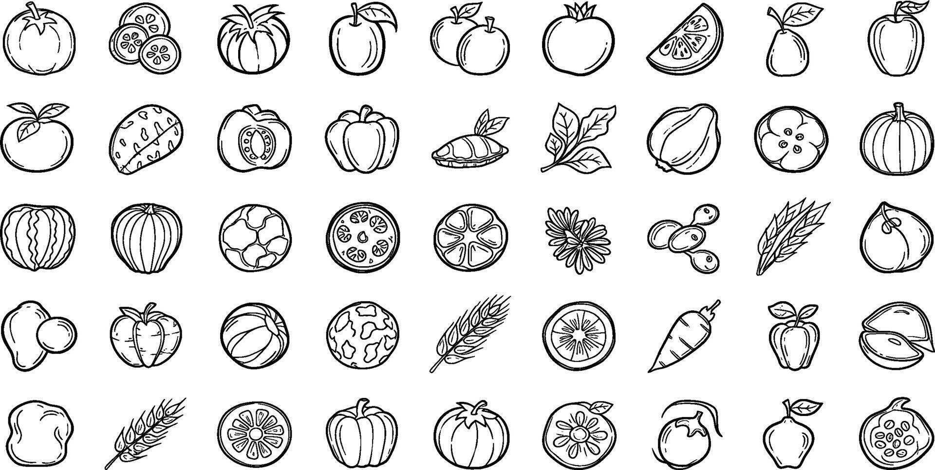 A set of fruit and vegetables drawn in black and white vector
