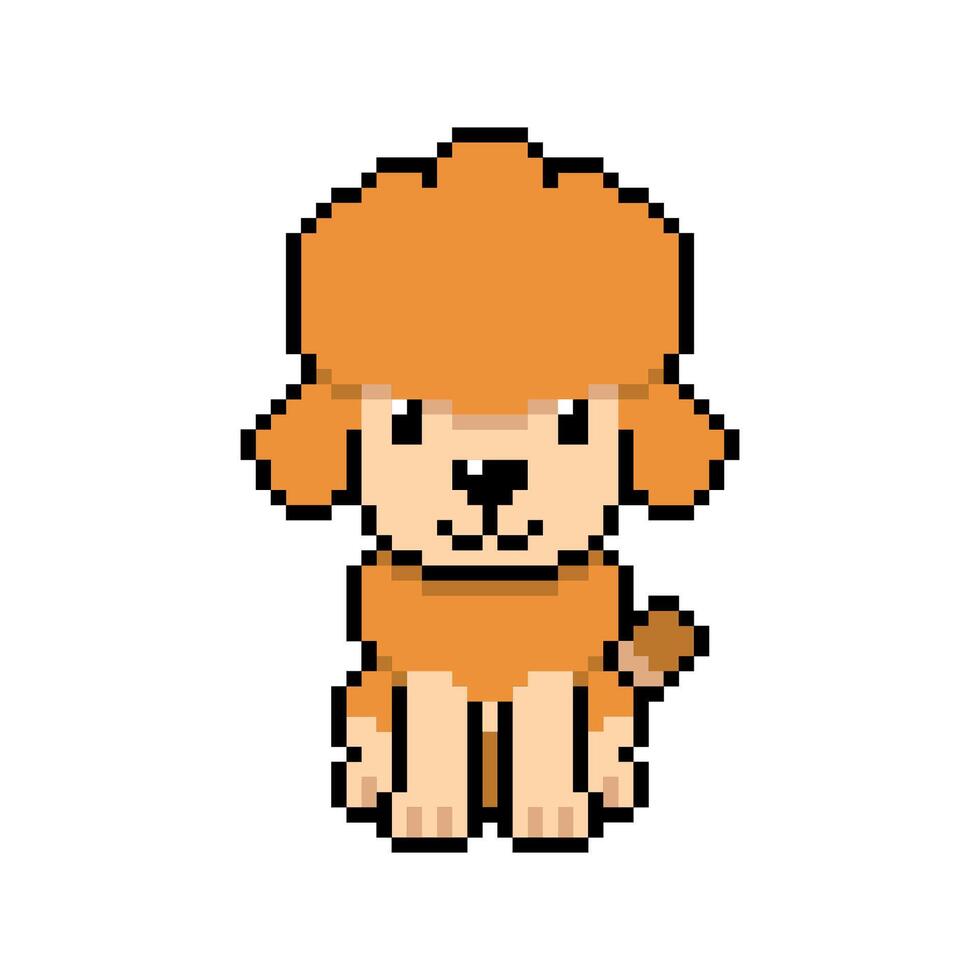 Pixel art poodle dog in retro style vector