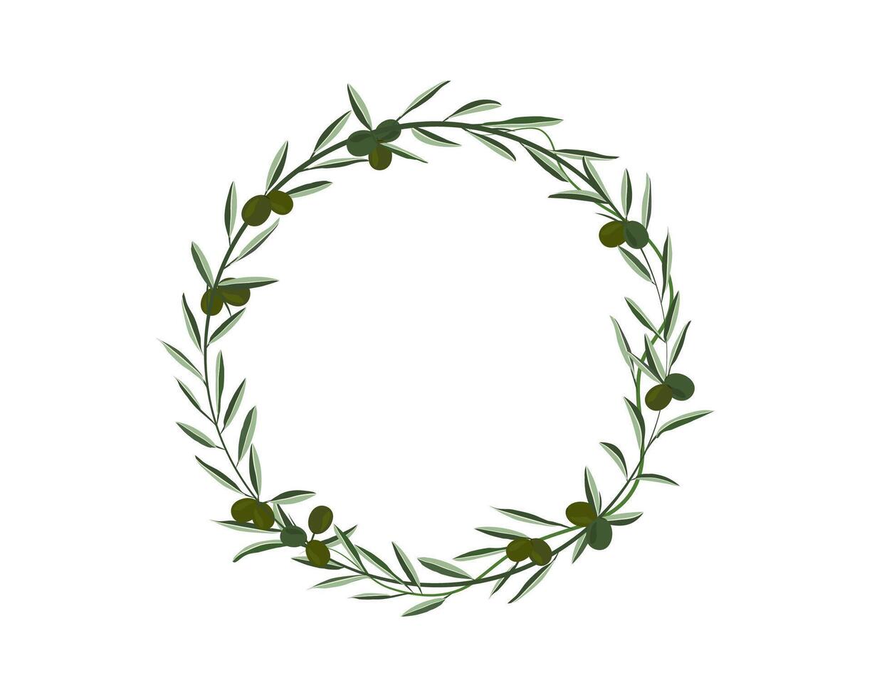 green olive and creeping leaves as floral frame on white background vector