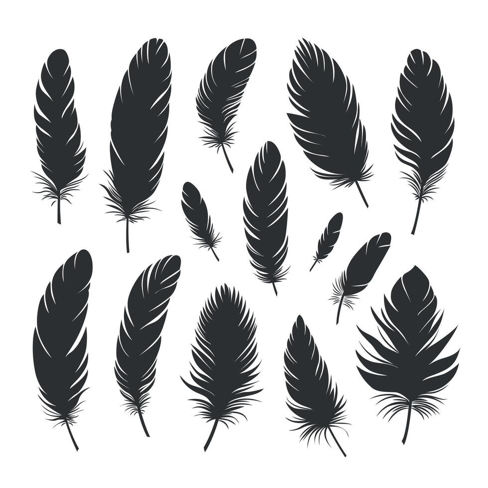 Black silhouettes of bird feathers of different shapes and sizes. Large set of different feathers. Concept of spirituality, freedom and creativity. vector