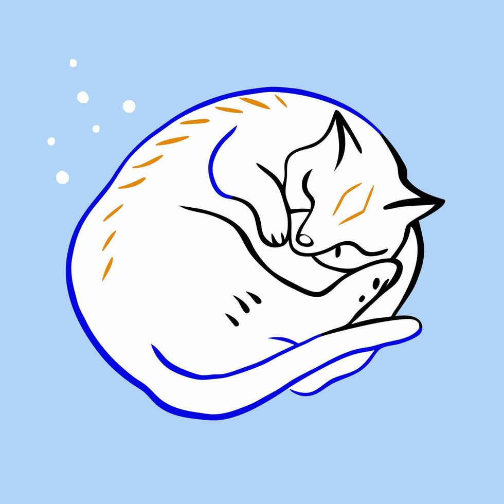 Cute Curled Up Sleeping Cat Illustration vector